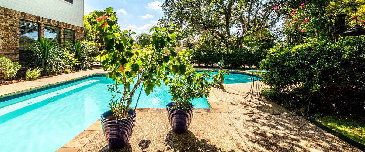 Plants in private backyard with pool.